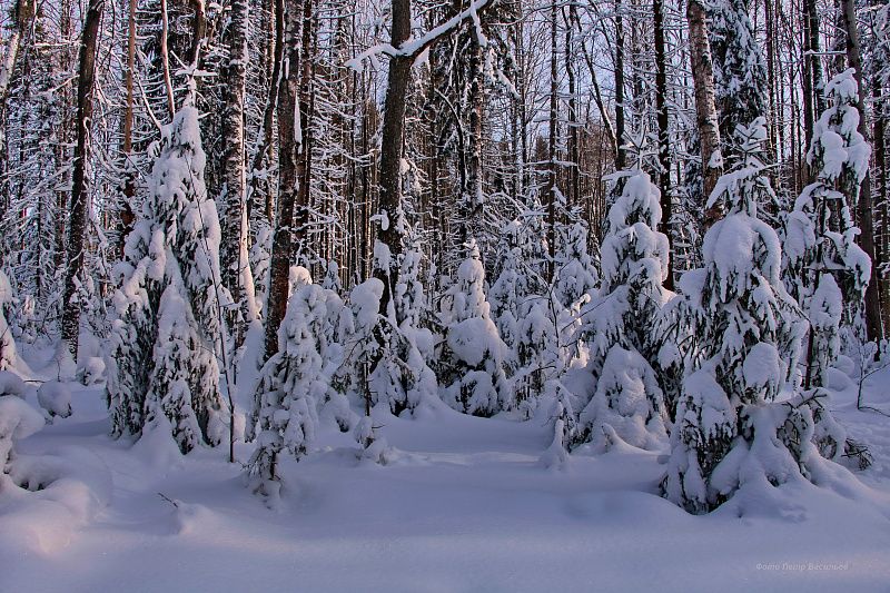 яяяяяяяяяяяяяяяяяяяяяяяяяяяяяяяяяяяя (7).JPG