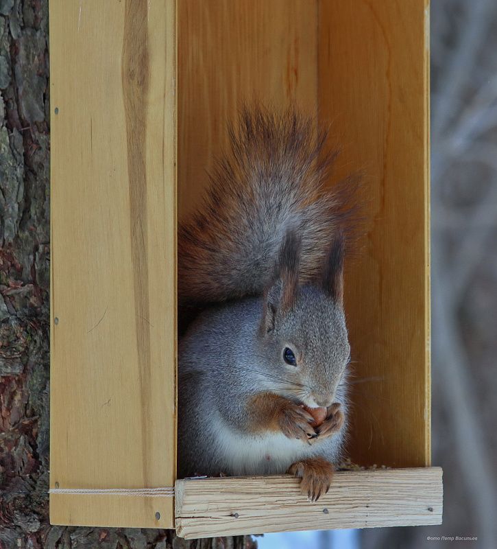 яяяяяяяяя (2).JPG