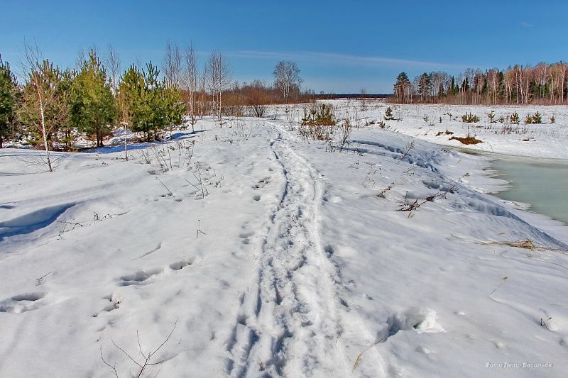 яяяяяя (3).JPG