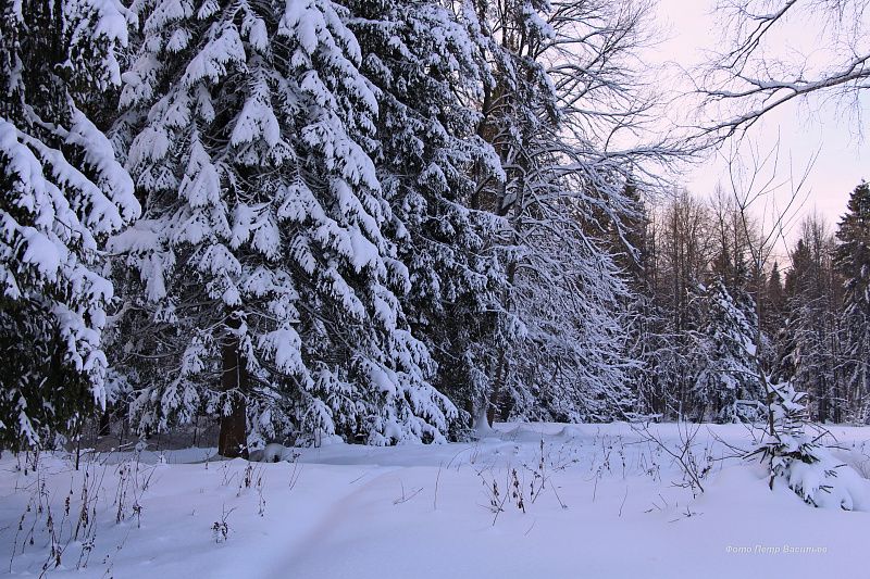 яяяяяяяяяяяяяяяяяяяяяяяяяяяяяяяяяяяя (3).JPG