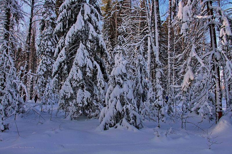 яяяяяяяяяяяяяяяяяяяяяяяяяяяяяяяяяяяя (5).JPG