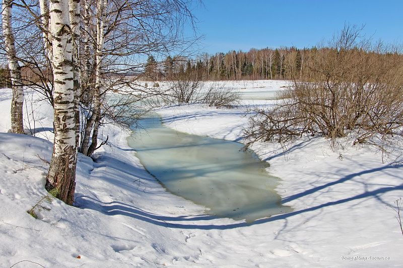 яяяяяя (1).JPG