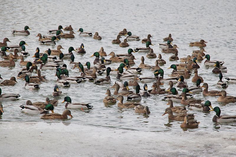 000000000000000 (4).JPG