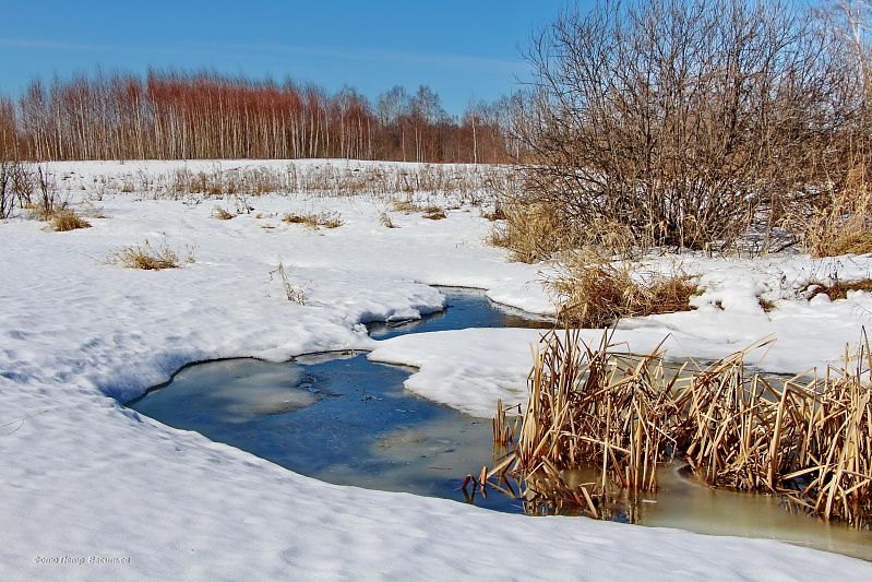 яяяяяя (2).JPG