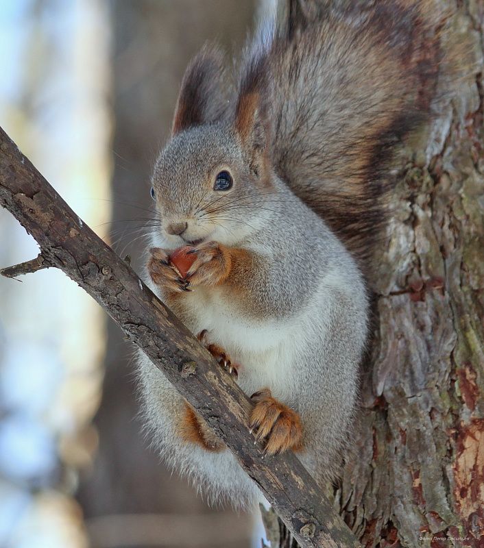 яяяяяяяяя (3).JPG