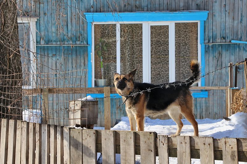 яяяяяяяяяяя (5).JPG