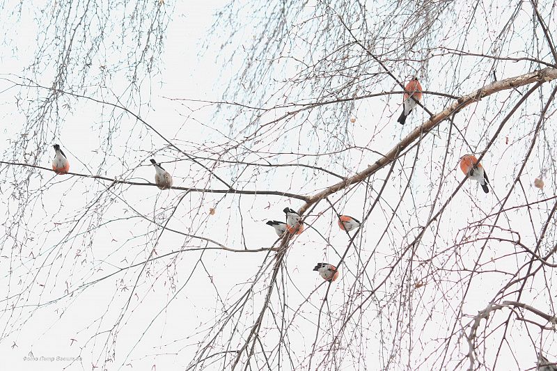 яяяяяяяяяяяяяя (3).JPG