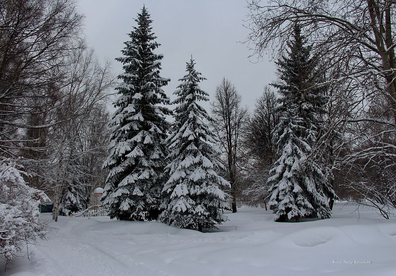 яяяяяяяяяяяяяяяяяяяяяяяяяяя (2).JPG