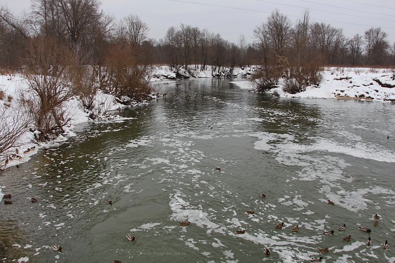 яяяяяяяяяяяяяяяя (6).JPG