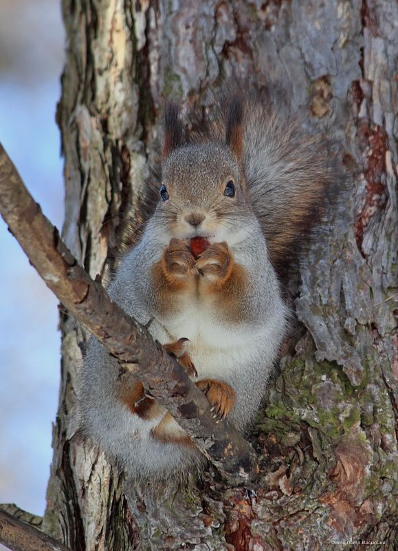 яяяяяяяяя (4).JPG