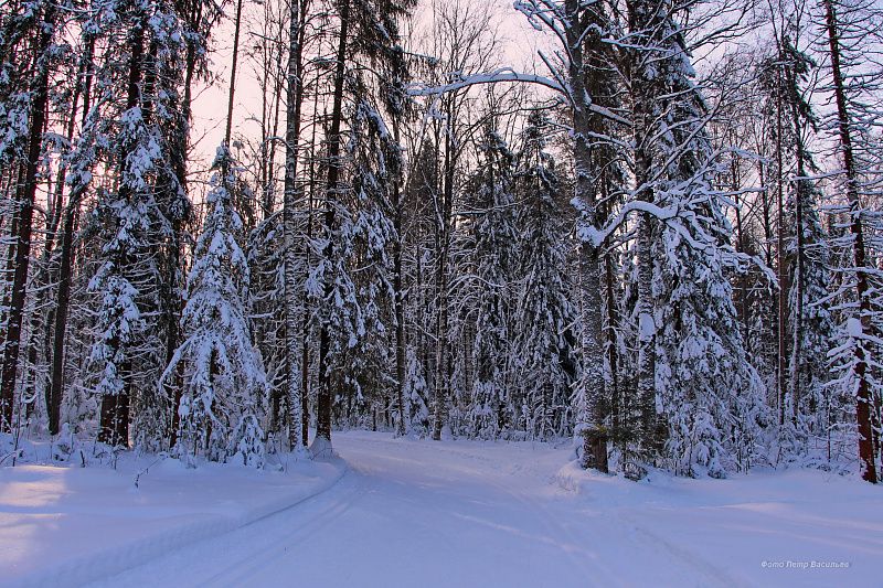 яяяяяяяяяяяяяяяяяяяяяяяяяяяяяяяяяяяя (2).JPG